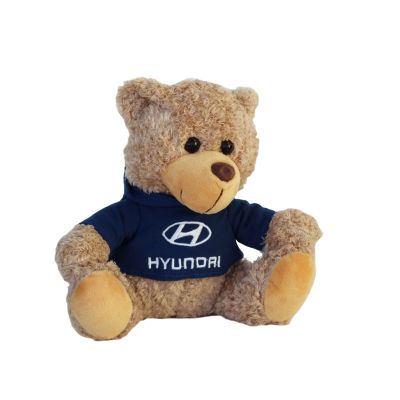 Hyundai Teddy